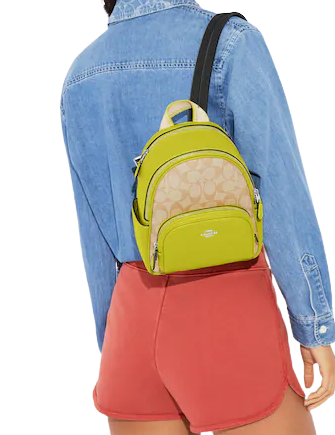 Coach Mini Court Backpack In Signature Canvas