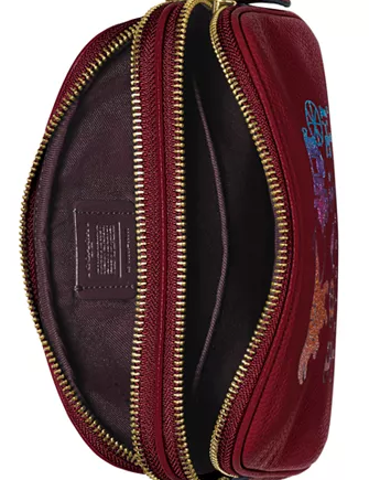 Coach Rexy and Carriage Sadie Crossbody