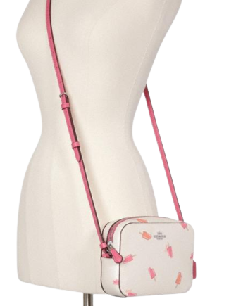 Coach Mini Camera Bag With Popsicle Print